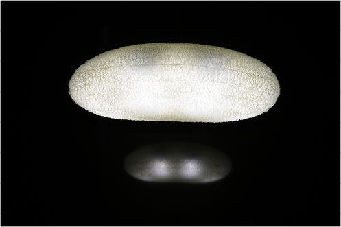 Led, chandelier, italian design, wow, breathair, design, lighting, light, hanging lamp, lamp, lampadario, lampada, sospensione, 意大利设计, イタリア人デザイナー